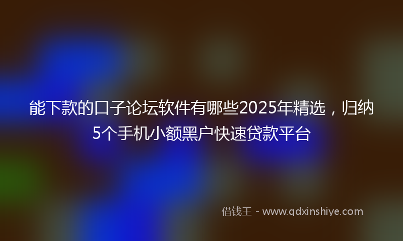 能下款的口子论坛软件有哪些2025年精选，归纳5个手机小额黑户快速贷款平台