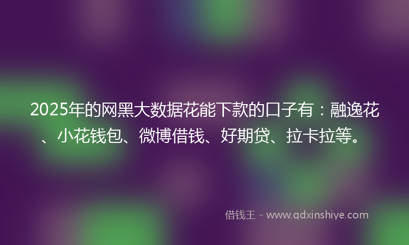 2025年的网黑大数据花能下款的口子有：融逸花、小花钱包、微博借钱、好期贷、拉卡拉等。