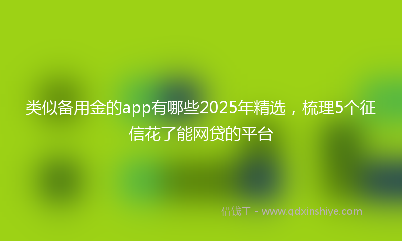 类似备用金的app有哪些2025年精选，梳理5个征信花了能网贷的平台