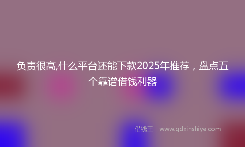 负责很高,什么平台还能下款2025年推荐，盘点五个靠谱借钱利器