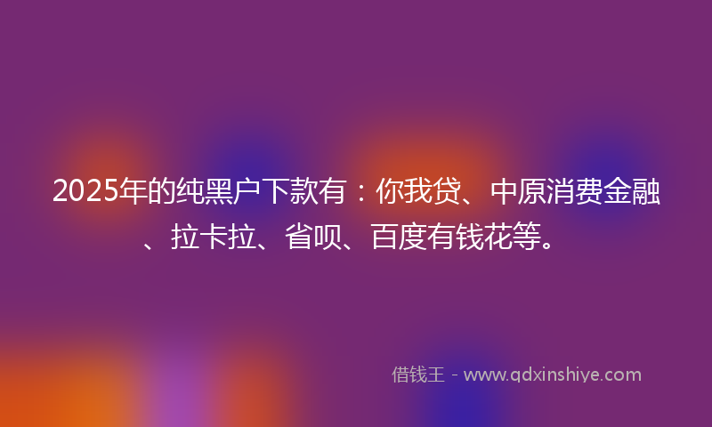 2025年的纯黑户下款有：你我贷、中原消费金融、拉卡拉、省呗、百度有钱花等。
