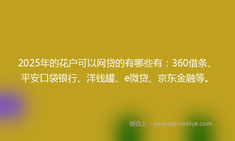 2025年的花户可以网贷的有哪些有：360借条、平安口袋银行、洋钱罐、e微贷、京东金融等。