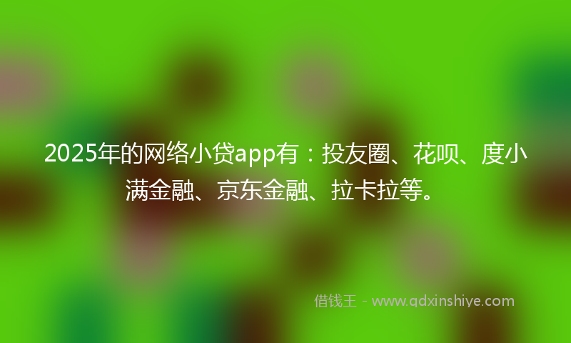 2025年的网络小贷app有：投友圈、花呗、度小满金融、京东金融、拉卡拉等。