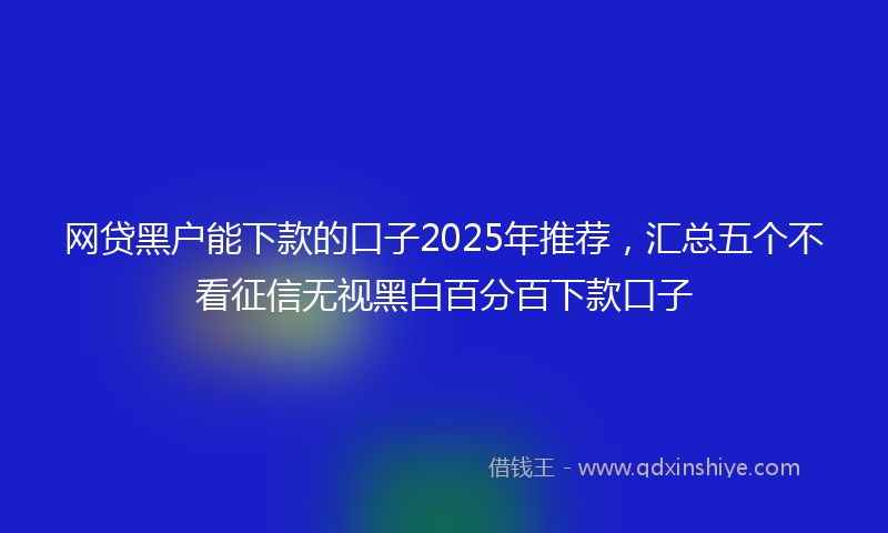 网贷黑户能下款的口子2025年推荐，汇总五个不看征信无视黑白百分百下款口子