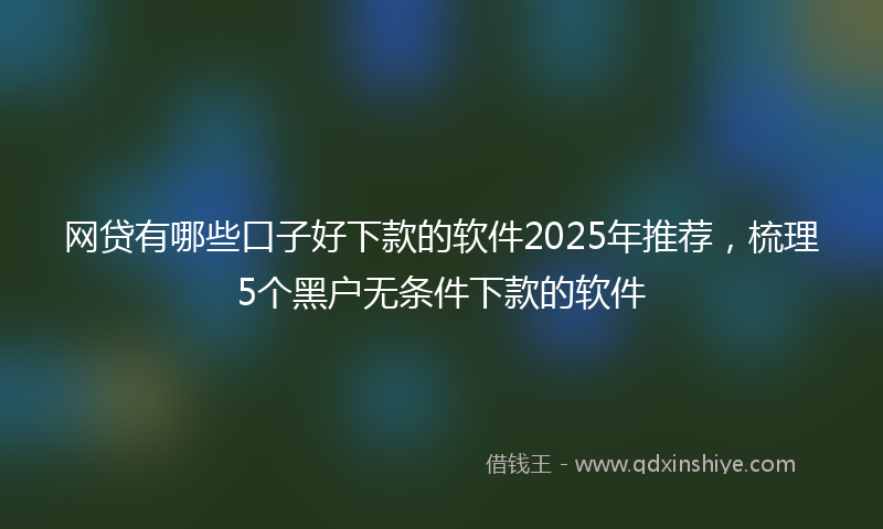 网贷有哪些口子好下款的软件2025年推荐，梳理5个黑户无条件下款的软件
