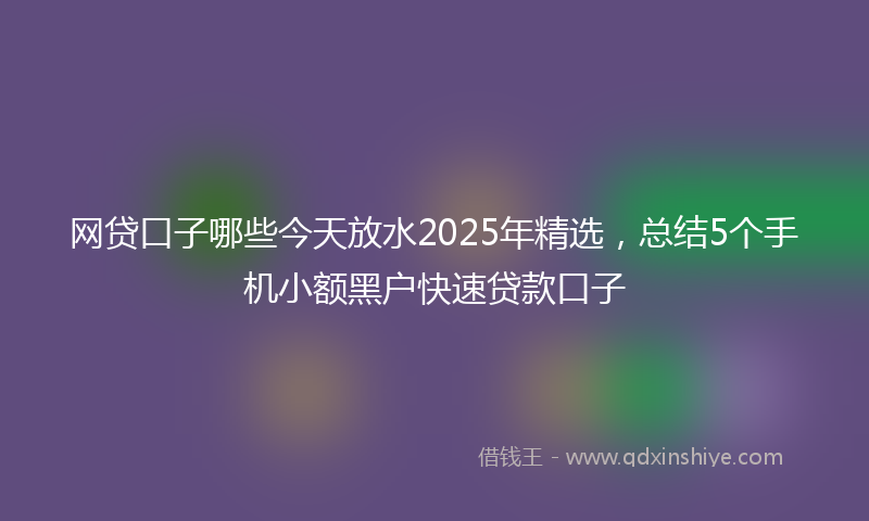 网贷口子哪些今天放水2025年精选，总结5个手机小额黑户快速贷款口子