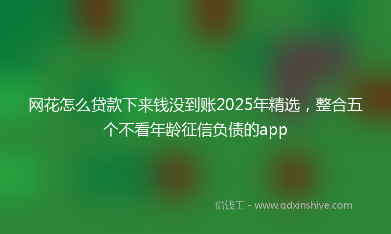 网花怎么贷款下来钱没到账2025年精选，整合五个不看年龄征信负债的app