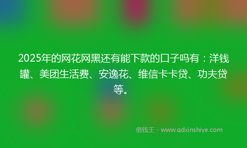 2025年的网花网黑还有能下款的口子吗有：洋钱罐、美团生活费、安逸花、维信卡卡贷、功夫贷等。
