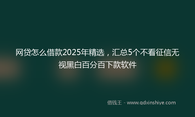 网贷怎么借款2025年精选，汇总5个不看征信无视黑白百分百下款软件