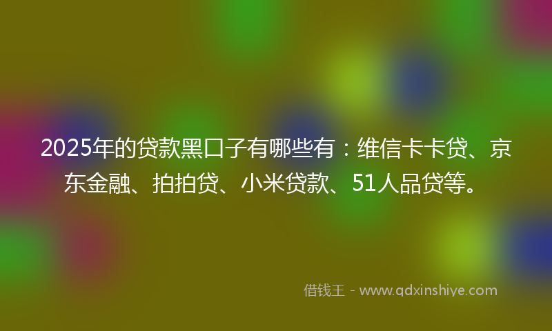2025年的贷款黑口子有哪些有：维信卡卡贷、京东金融、拍拍贷、小米贷款、51人品贷等。