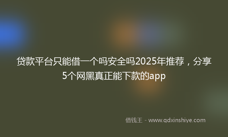 贷款平台只能借一个吗安全吗2025年推荐，分享5个网黑真正能下款的app