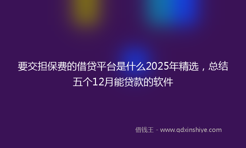 要交担保费的借贷平台是什么2025年精选，总结五个12月能贷款的软件