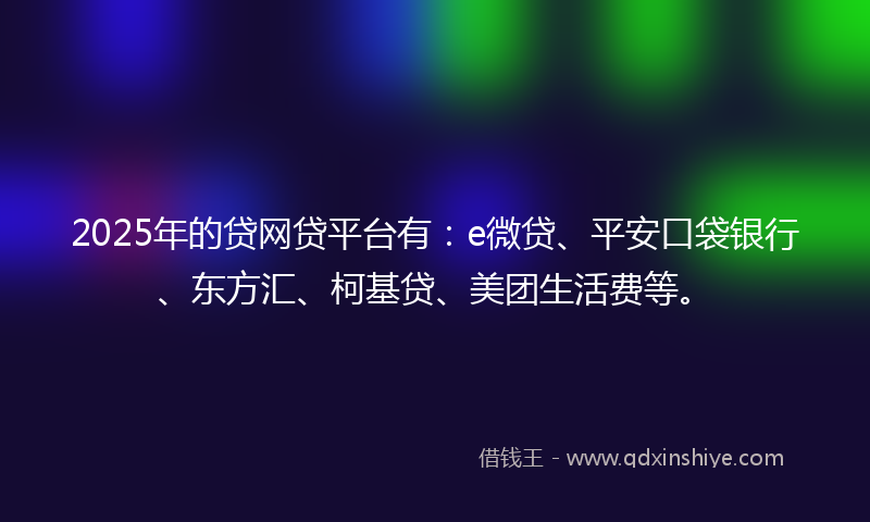 2025年的贷网贷平台有：e微贷、平安口袋银行、东方汇、柯基贷、美团生活费等。