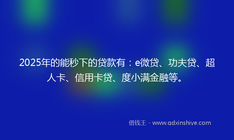 2025年的能秒下的贷款有：e微贷、功夫贷、超人卡、信用卡贷、度小满金融等。