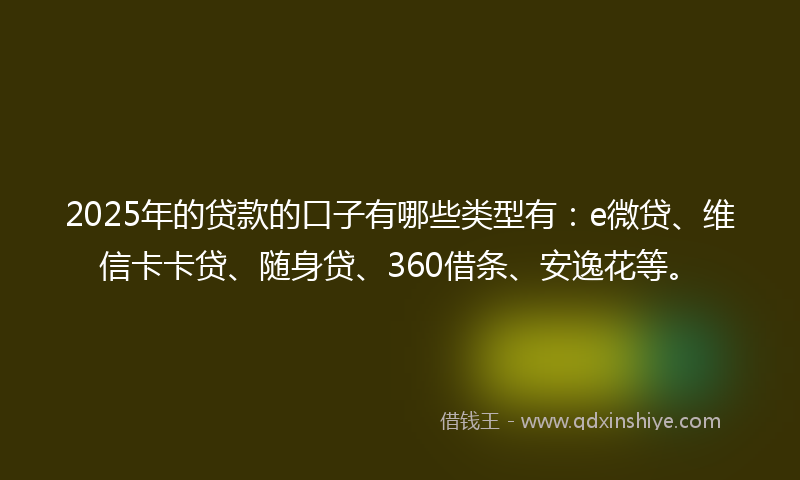 2025年的贷款的口子有哪些类型有：e微贷、维信卡卡贷、随身贷、360借条、安逸花等。