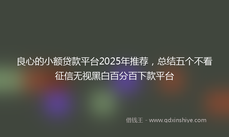 良心的小额贷款平台2025年推荐，总结五个不看征信无视黑白百分百下款平台