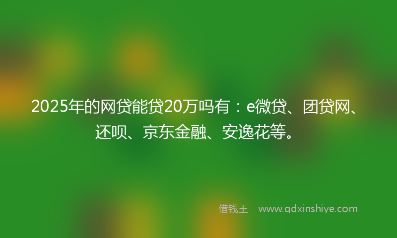 2025年的网贷能贷20万吗有：e微贷、团贷网、还呗、京东金融、安逸花等。