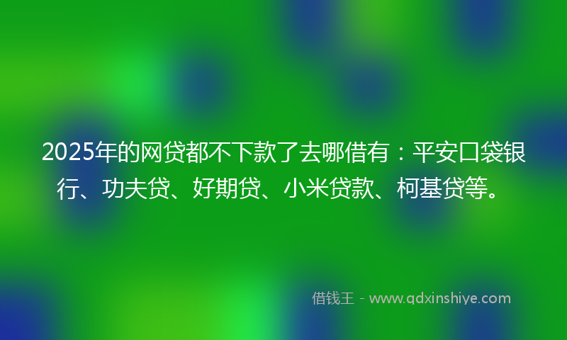2025年的网贷都不下款了去哪借有:平安口袋银行、功夫贷、好期贷、小米贷款、柯基贷等。