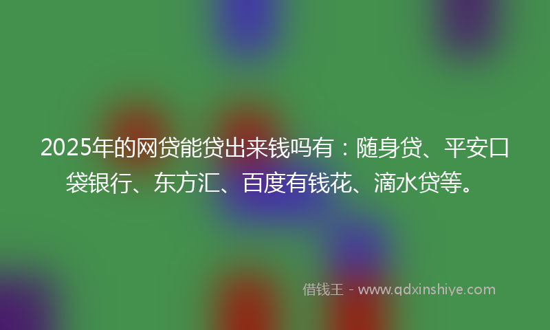2025年的网贷能贷出来钱吗有：随身贷、平安口袋银行、东方汇、百度有钱花、滴水贷等。