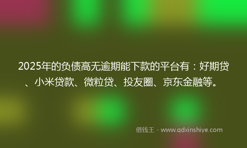 2025年的负债高无逾期能下款的平台有：好期贷、小米贷款、微粒贷、投友圈、京东金融等。