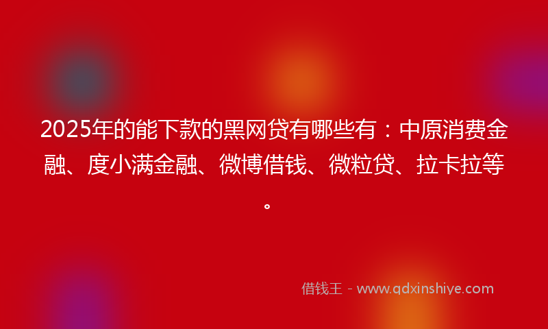2025年的能下款的黑网贷有哪些有：中原消费金融、度小满金融、微博借钱、微粒贷、拉卡拉等。