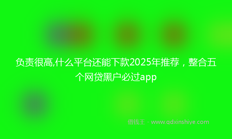 负责很高,什么平台还能下款2025年推荐，整合五个网贷黑户必过app