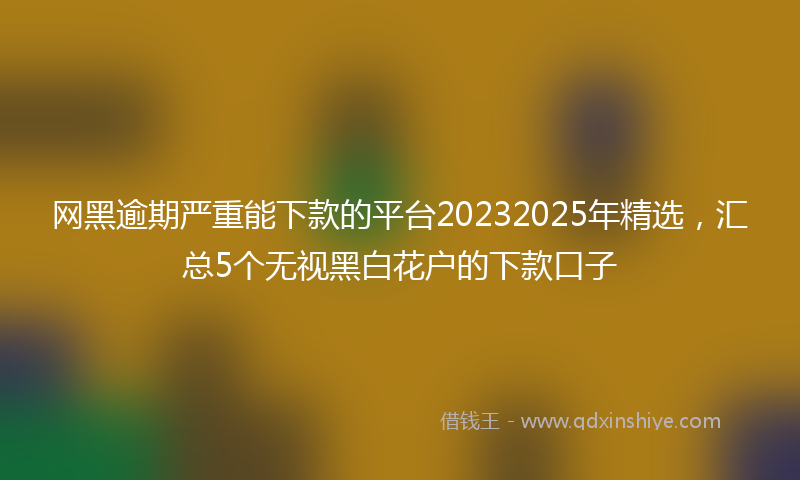 网黑逾期严重能下款的平台20232025年精选，汇总5个无视黑白花户的下款口子