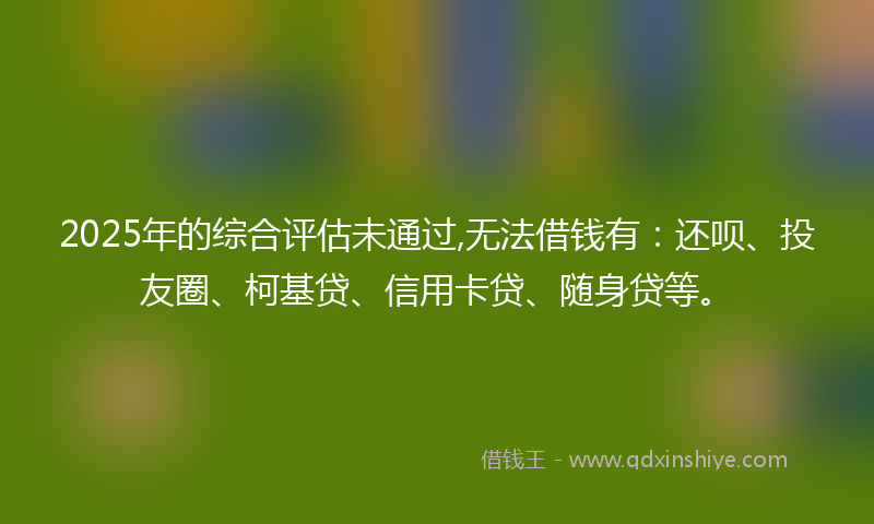 2025年的综合评估未通过,无法借钱有：还呗、投友圈、柯基贷、信用卡贷、随身贷等。