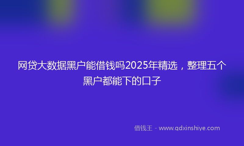 网贷大数据黑户能借钱吗2025年精选，整理五个黑户都能下的口子
