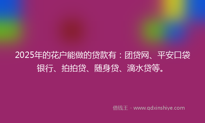 2025年的花户能做的贷款有：团贷网、平安口袋银行、拍拍贷、随身贷、滴水贷等。