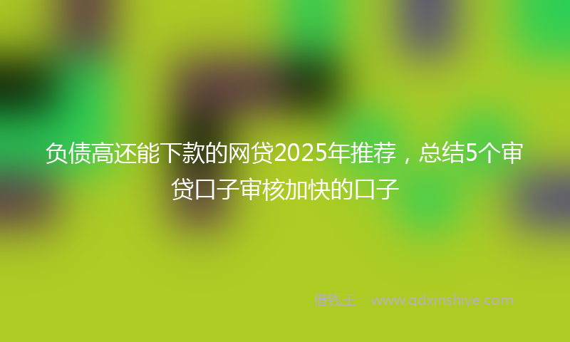 负债高还能下款的网贷2025年推荐，总结5个审贷口子审核加快的口子