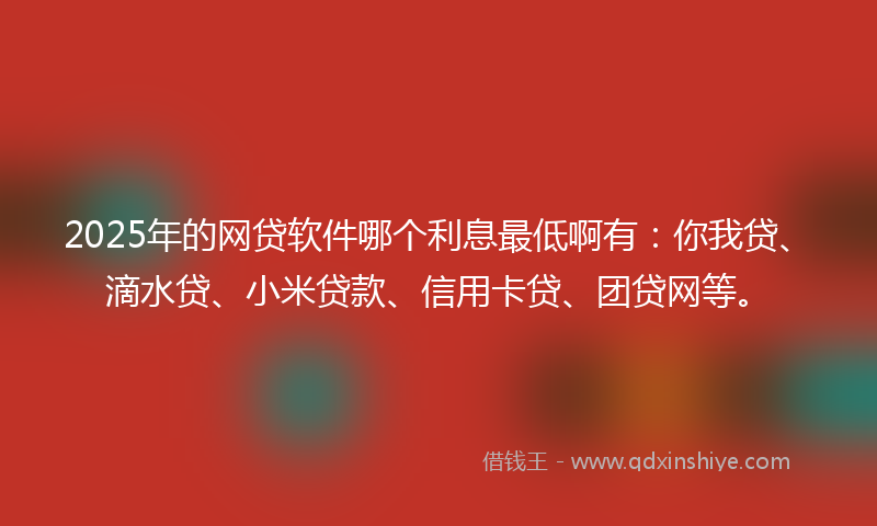 2025年的网贷软件哪个利息最低啊有：你我贷、滴水贷、小米贷款、信用卡贷、团贷网等。
