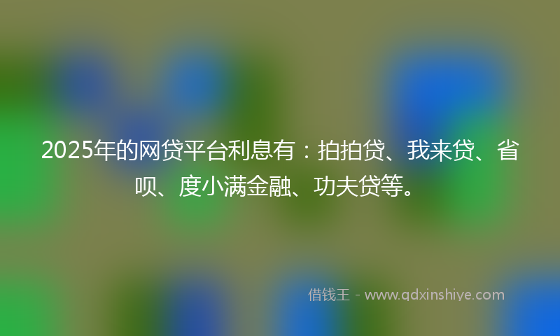 2025年的网贷平台利息有：拍拍贷、我来贷、省呗、度小满金融、功夫贷等。