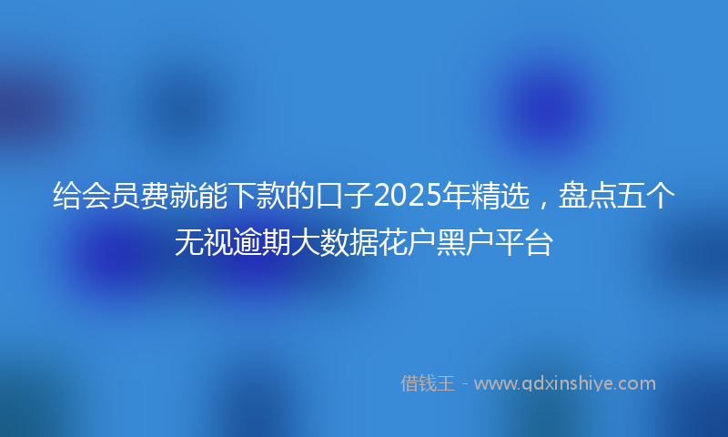 给会员费就能下款的口子2025年精选，盘点五个无视逾期大数据花户黑户平台