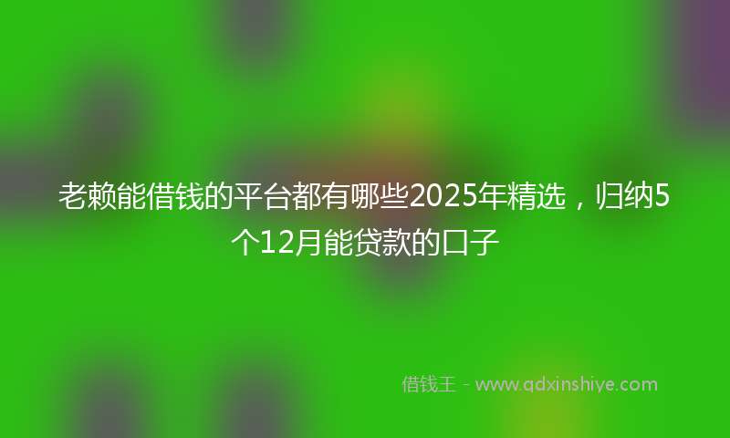 老赖能借钱的平台都有哪些2025年精选，归纳5个12月能贷款的口子