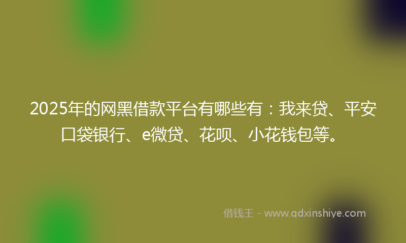 2025年的网黑借款平台有哪些有：我来贷、平安口袋银行、e微贷、花呗、小花钱包等。