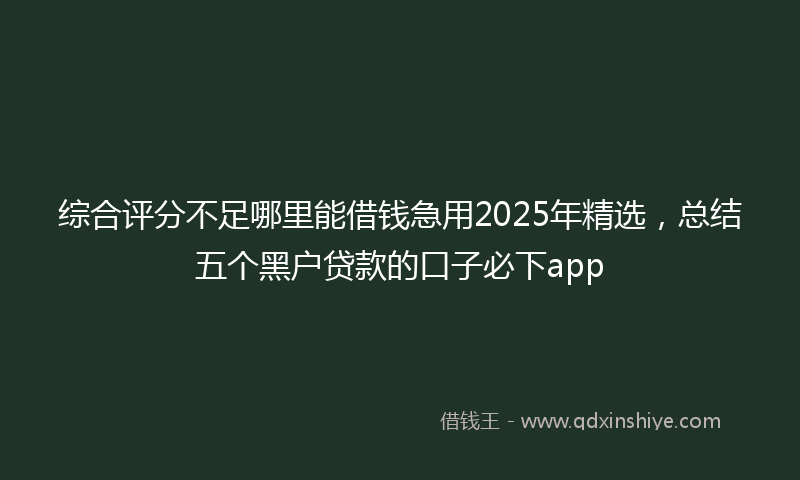综合评分不足哪里能借钱急用2025年精选，总结五个黑户贷款的口子必下app