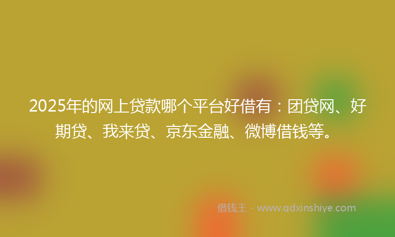 2025年的网上贷款哪个平台好借有：团贷网、好期贷、我来贷、京东金融、微博借钱等。