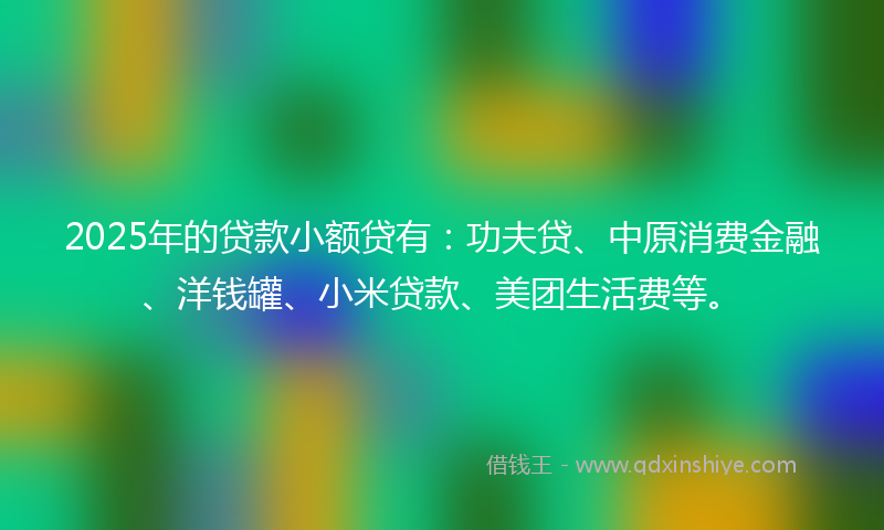 2025年的贷款小额贷有：功夫贷、中原消费金融、洋钱罐、小米贷款、美团生活费等。