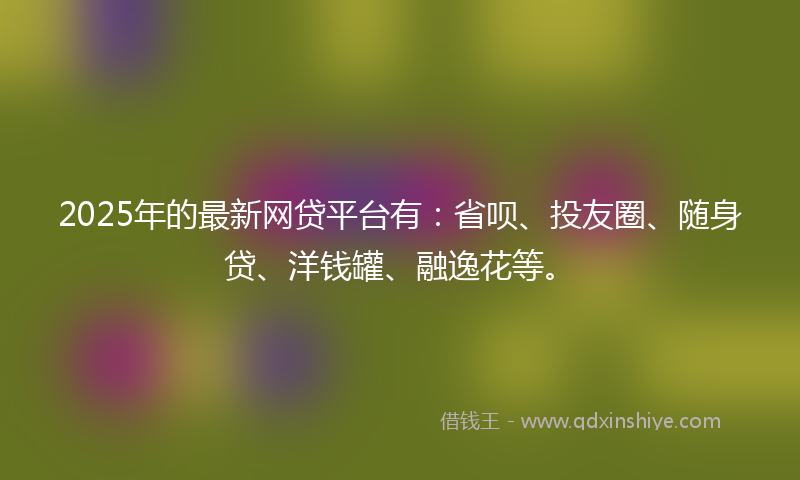 2025年的最新网贷平台有：省呗、投友圈、随身贷、洋钱罐、融逸花等。