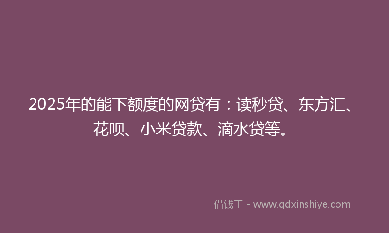 2025年的能下额度的网贷有：读秒贷、东方汇、花呗、小米贷款、滴水贷等。