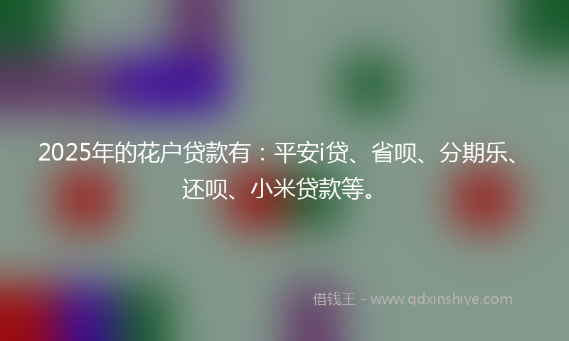 2025年的花户贷款有：平安i贷、省呗、分期乐、还呗、小米贷款等。