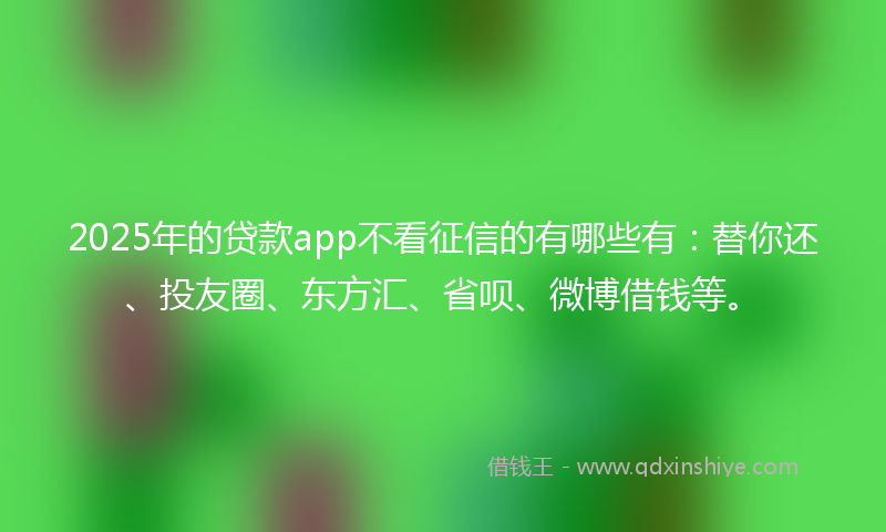 2025年的贷款app不看征信的有哪些有：替你还、投友圈、东方汇、省呗、微博借钱等。