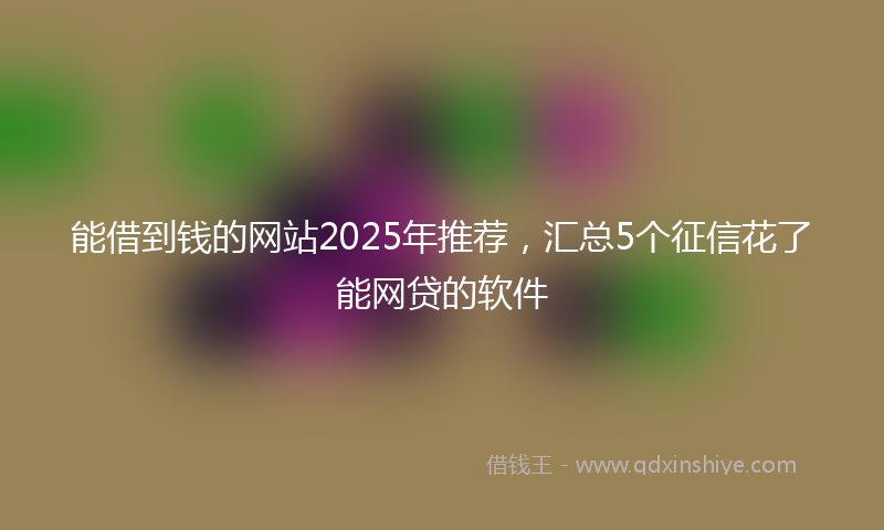 能借到钱的网站2025年推荐，汇总5个征信花了能网贷的软件