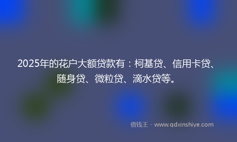2025年的花户大额贷款有：柯基贷、信用卡贷、随身贷、微粒贷、滴水贷等。