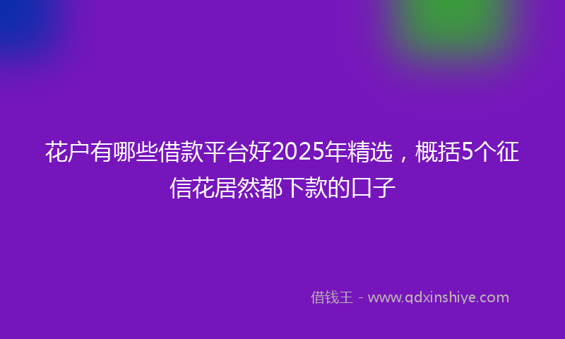 花户有哪些借款平台好2025年精选，概括5个征信花居然都下款的口子
