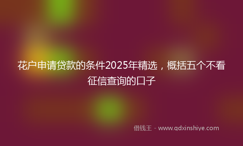 花户申请贷款的条件2025年精选，概括五个不看征信查询的口子