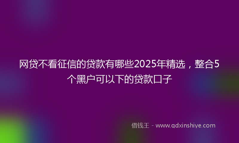 网贷不看征信的贷款有哪些2025年精选，整合5个黑户可以下的贷款口子