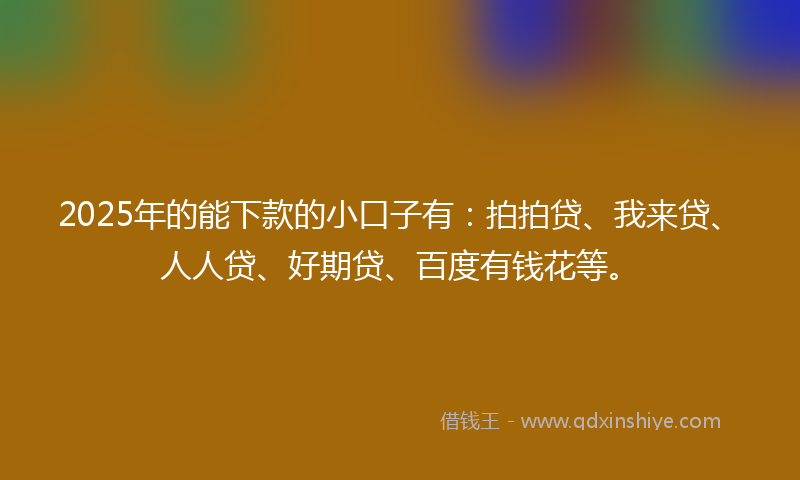 2025年的能下款的小口子有：拍拍贷、我来贷、人人贷、好期贷、百度有钱花等。