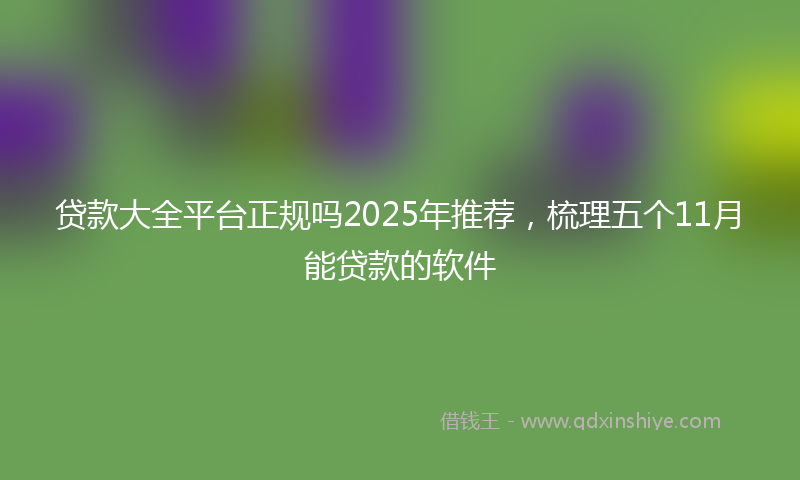 贷款大全平台正规吗2025年推荐，梳理五个11月能贷款的软件
